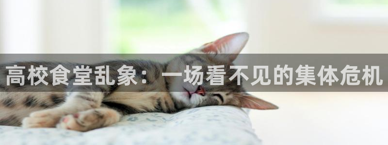 51吃瓜热心张津瑜