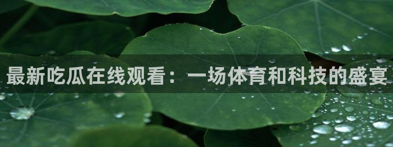 51吃瓜网51今日大大瓜