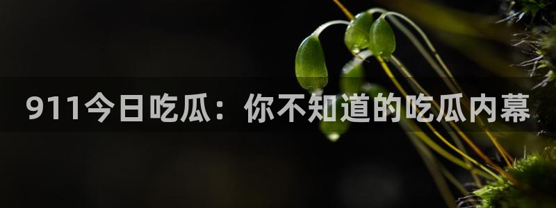 吃瓜吃到自己死讯：911今日吃瓜：你不知道的吃瓜内幕