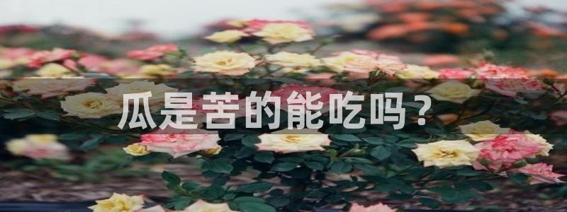 吃瓜吃瓜
