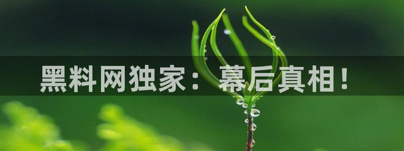 yourport吃瓜网：黑料网独家：幕后真相！