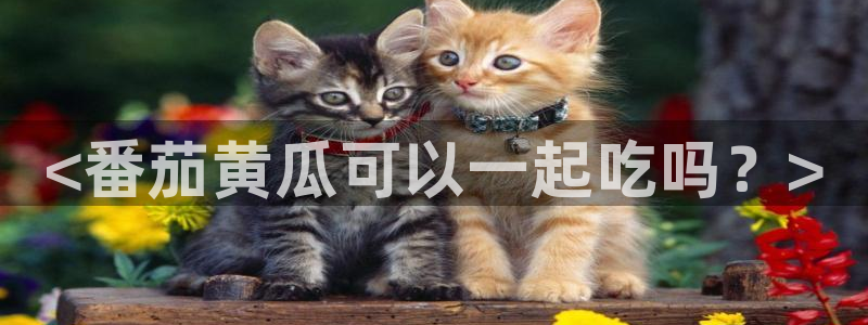 各种网红爆料吃瓜
