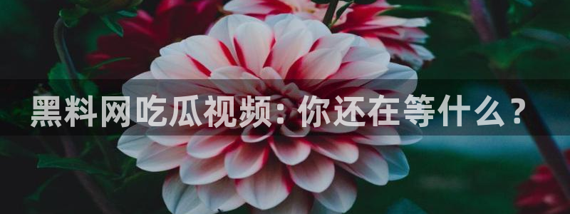 51吃瓜网51cgw