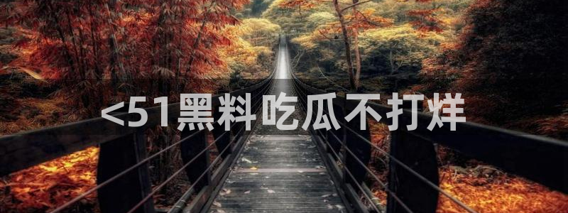各种网红爆料吃瓜网站：<51黑料吃瓜不打烊