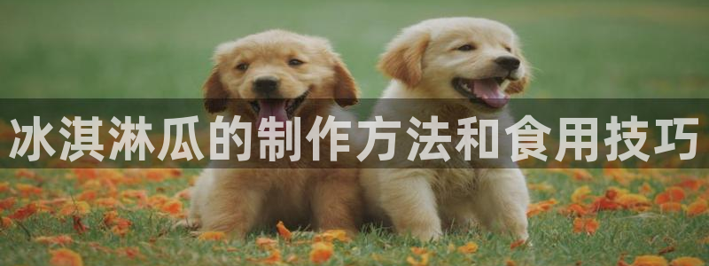 51吃瓜备用线路