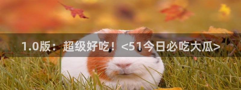 吊瓜树的瓜可以吃吗：1.0版：超级好吃！<51今日必吃大瓜>