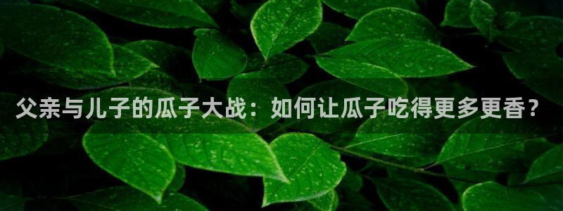 吃瓜.：父亲与儿子的瓜子大战：如何让瓜子吃得更多更香？