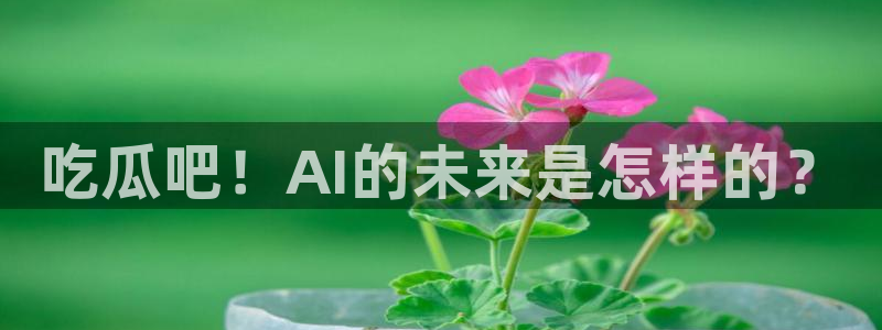ccggme吃瓜网:吃瓜吧!AI的未来是怎样的?