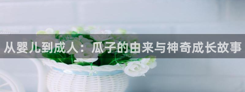 吃小瓜舌头尖疼是为什么：从婴儿到成人：瓜子的由来与神奇成长故事