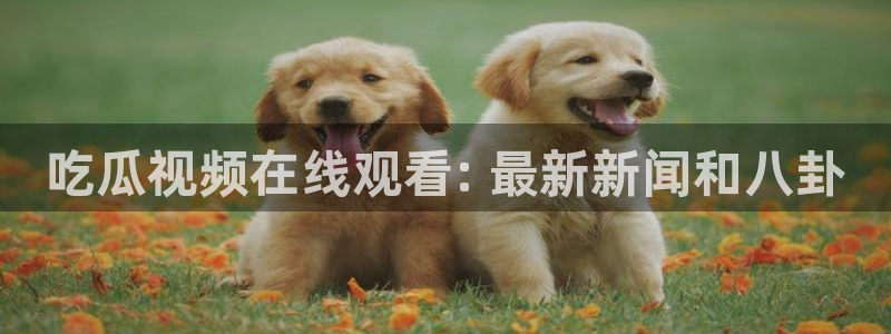 吃瓜爆料网不打烊回家:吃瓜视频在线观看: 最新新闻和八卦