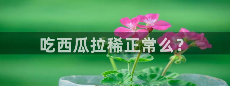 51吃瓜网更新最快最全的:吃西瓜拉稀正常么?