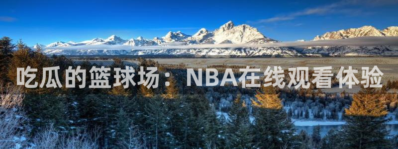 吃瓜胃酸怎么办：吃瓜的篮球场：NBA在线观看体验