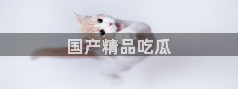 各种网红爆料吃瓜:国产精品吃瓜