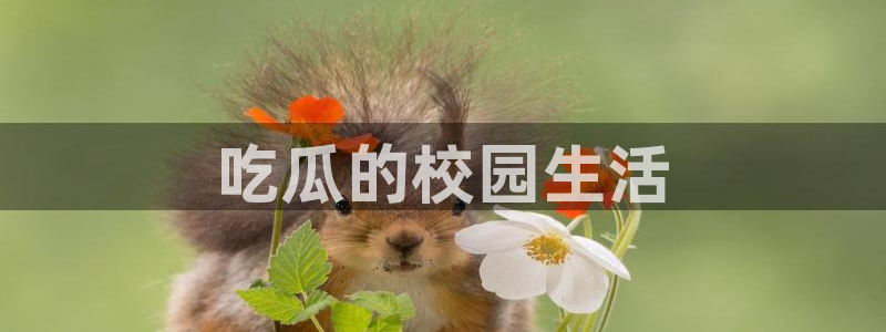 51cg1.ct吃瓜张津瑜：吃瓜的校园生活