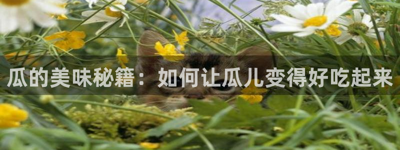 51吃瓜今日吃瓜官网最新:瓜的美味秘籍:如何让瓜儿变得好吃起来