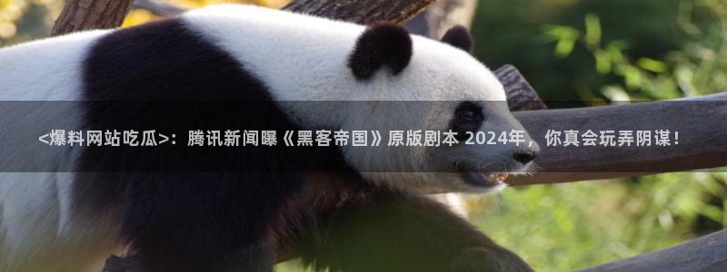 51吃瓜热门吃瓜